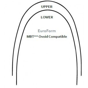 Archi Cu-NiTi EuroForm DW