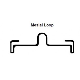 Barre palatali Mesial Loop DW