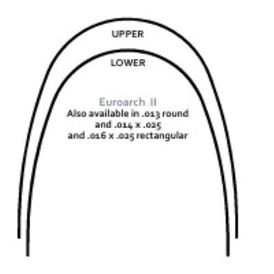 Archi NI-TI superelastici EUROARCH II Damon compatible