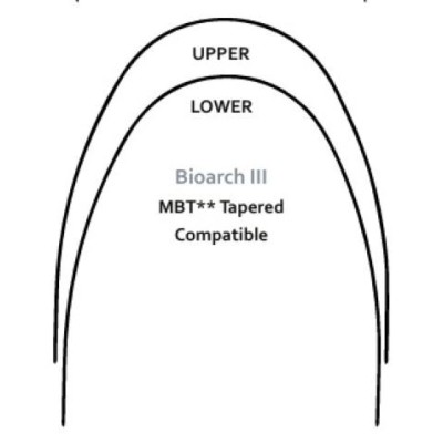 Archi NI-TI superelastici BIOARCH III