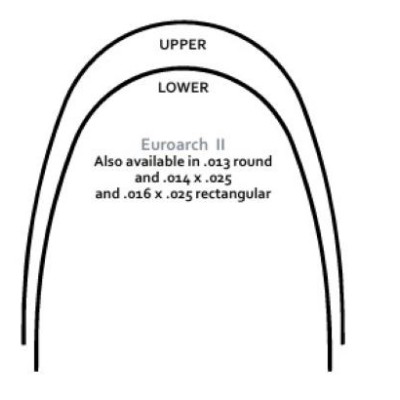 Archi Ni-Ti Termici   EUROARCH II